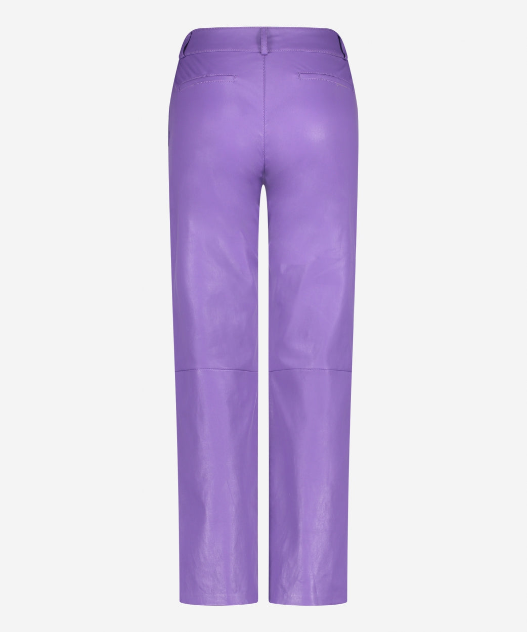 Paudine | VIOLET