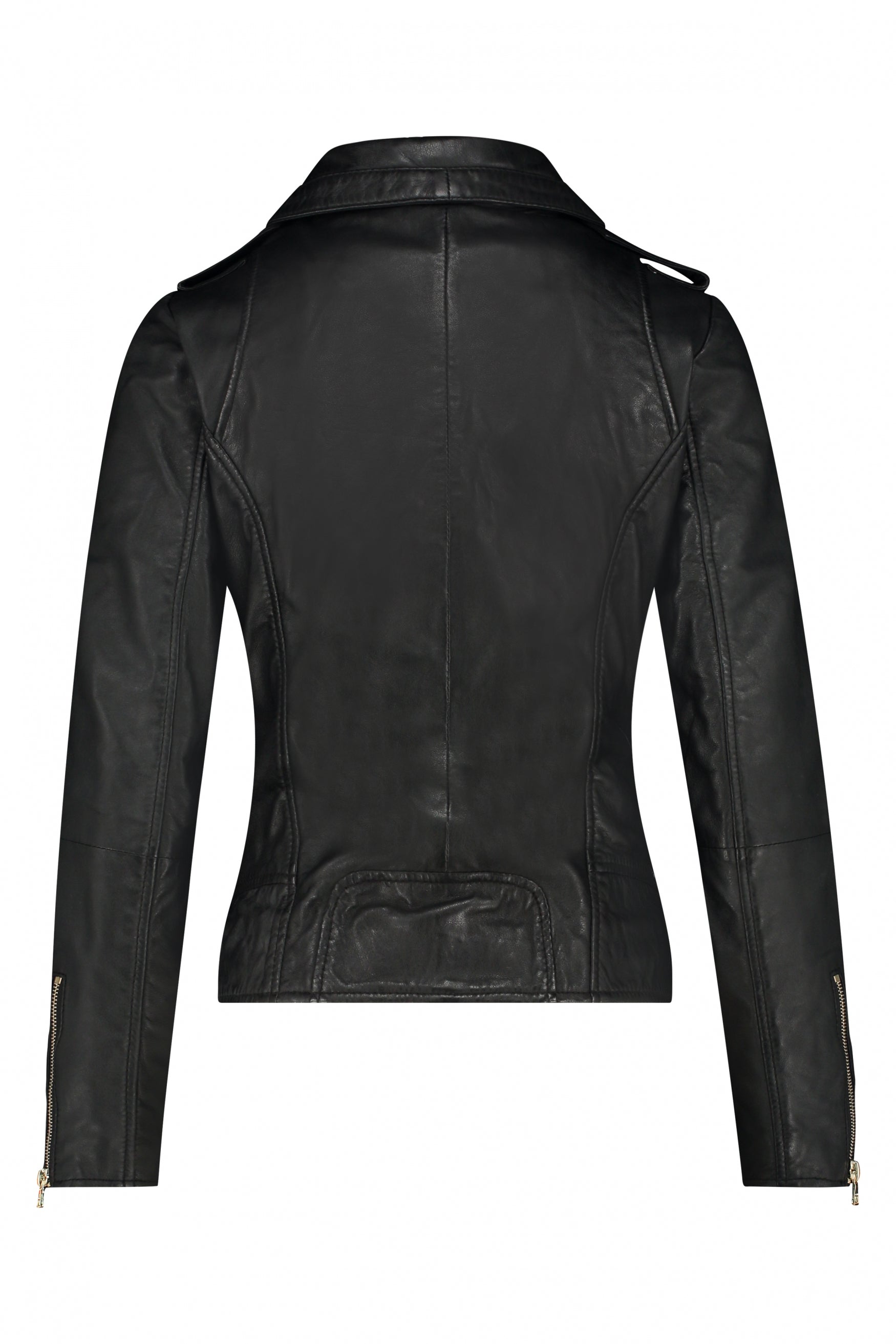 BEAR BLAZE | Black