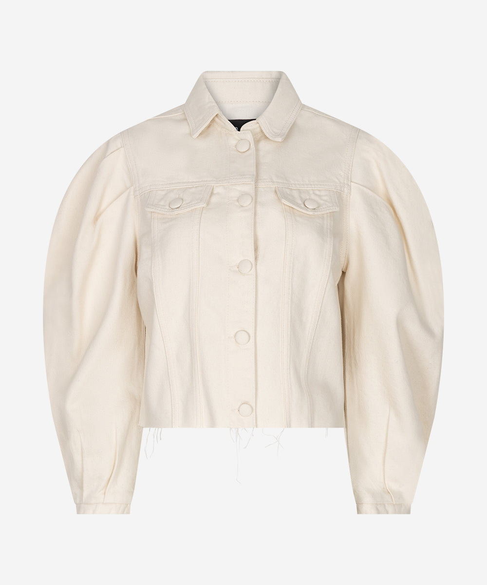 Trania Sandstone | Sandstone