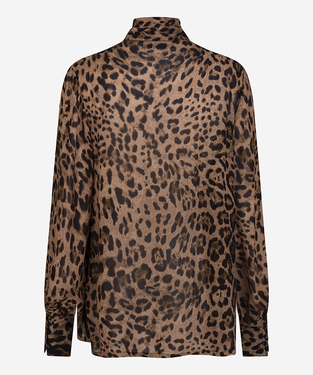 Trixie | Leopard1